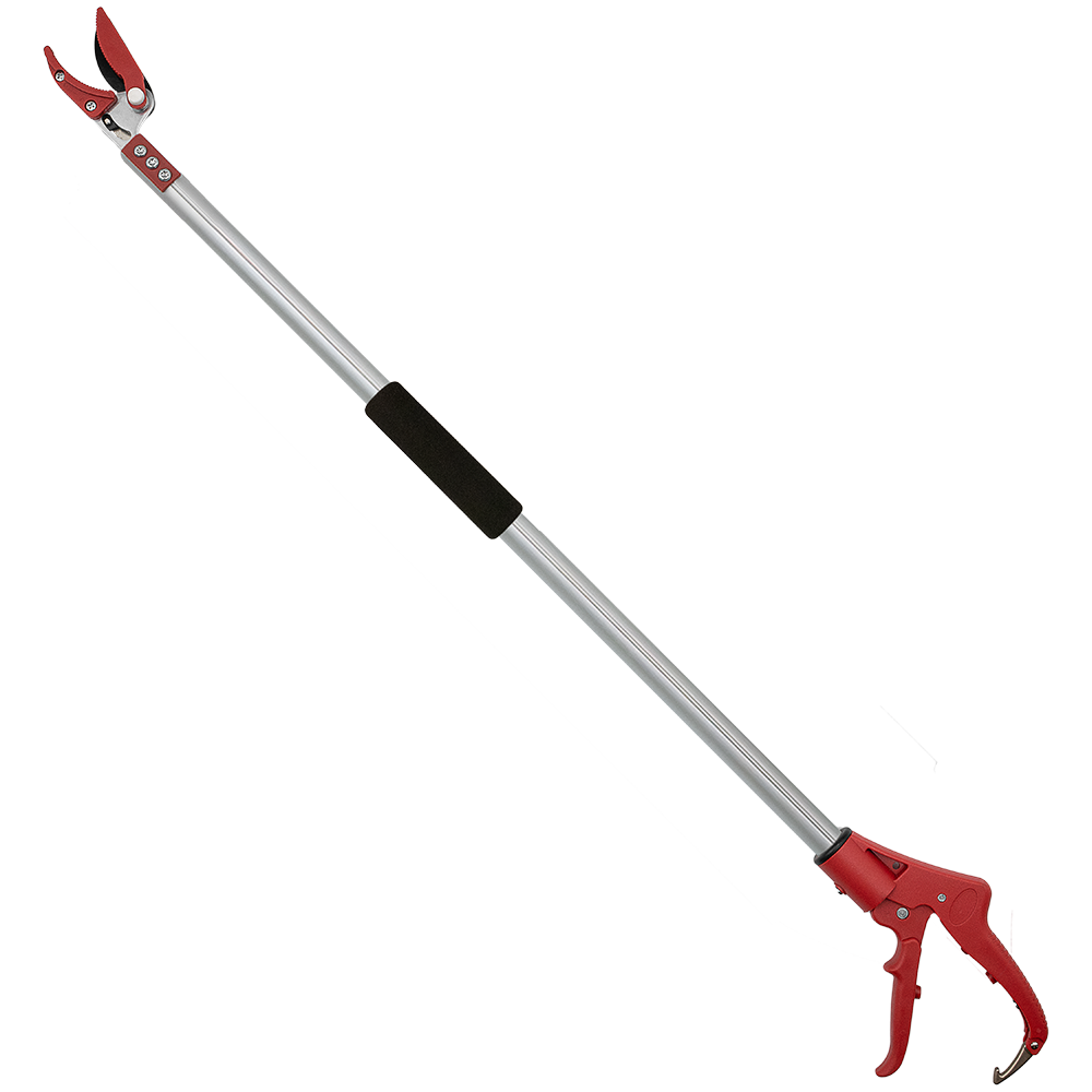 A generic image