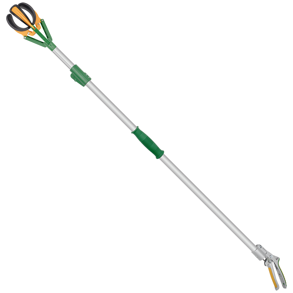 Zenport Fruit Picker ZL6146A 6-Foot Telescopic Fruit Picker, Long Reach Fruit Harvester (image for) Zenport Fruit Picker ZL6146A 6-Foot Telescopic Fruit Picker, Long Reach Fruit Harvester