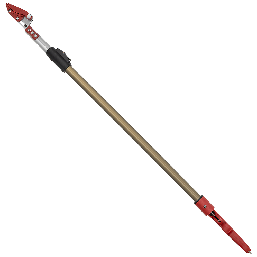 A generic image