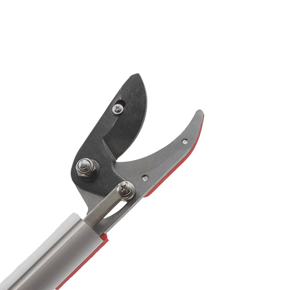 A generic image