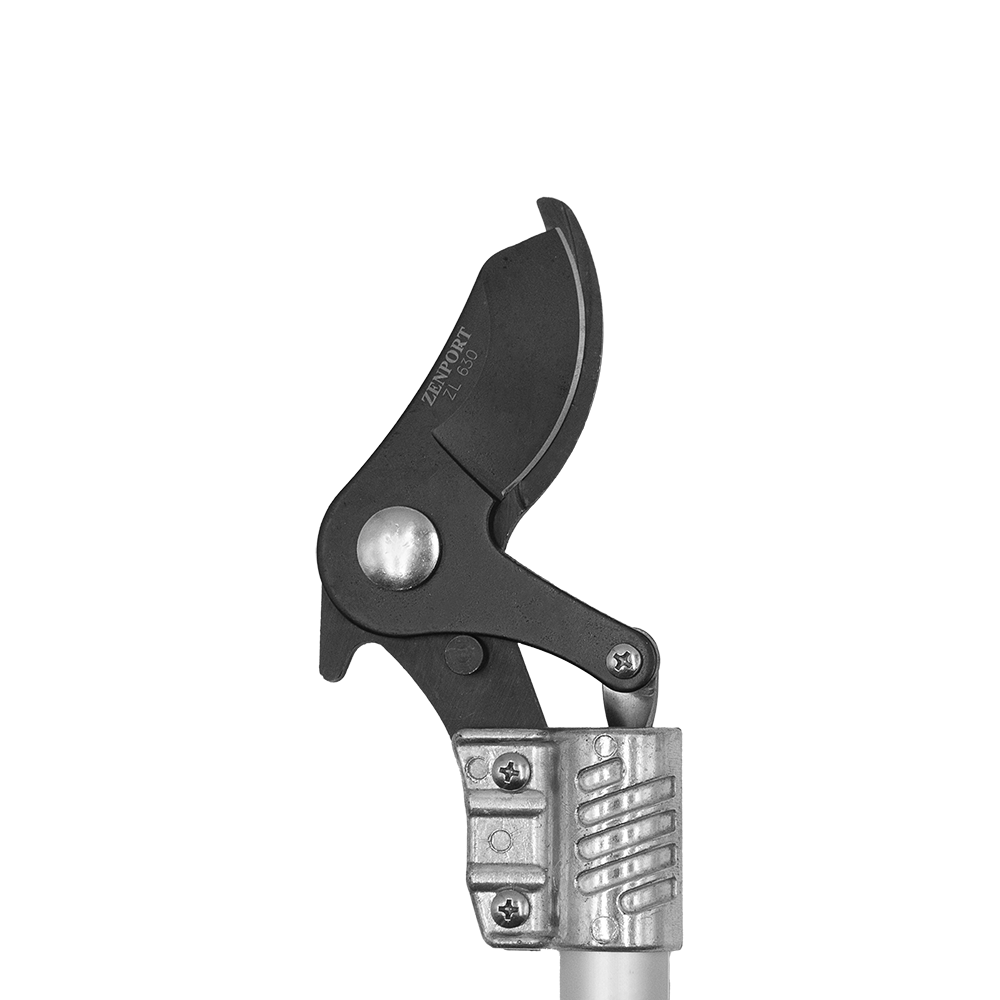 A generic image