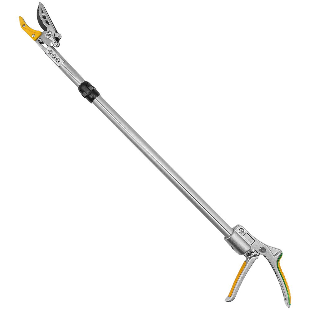 A generic image