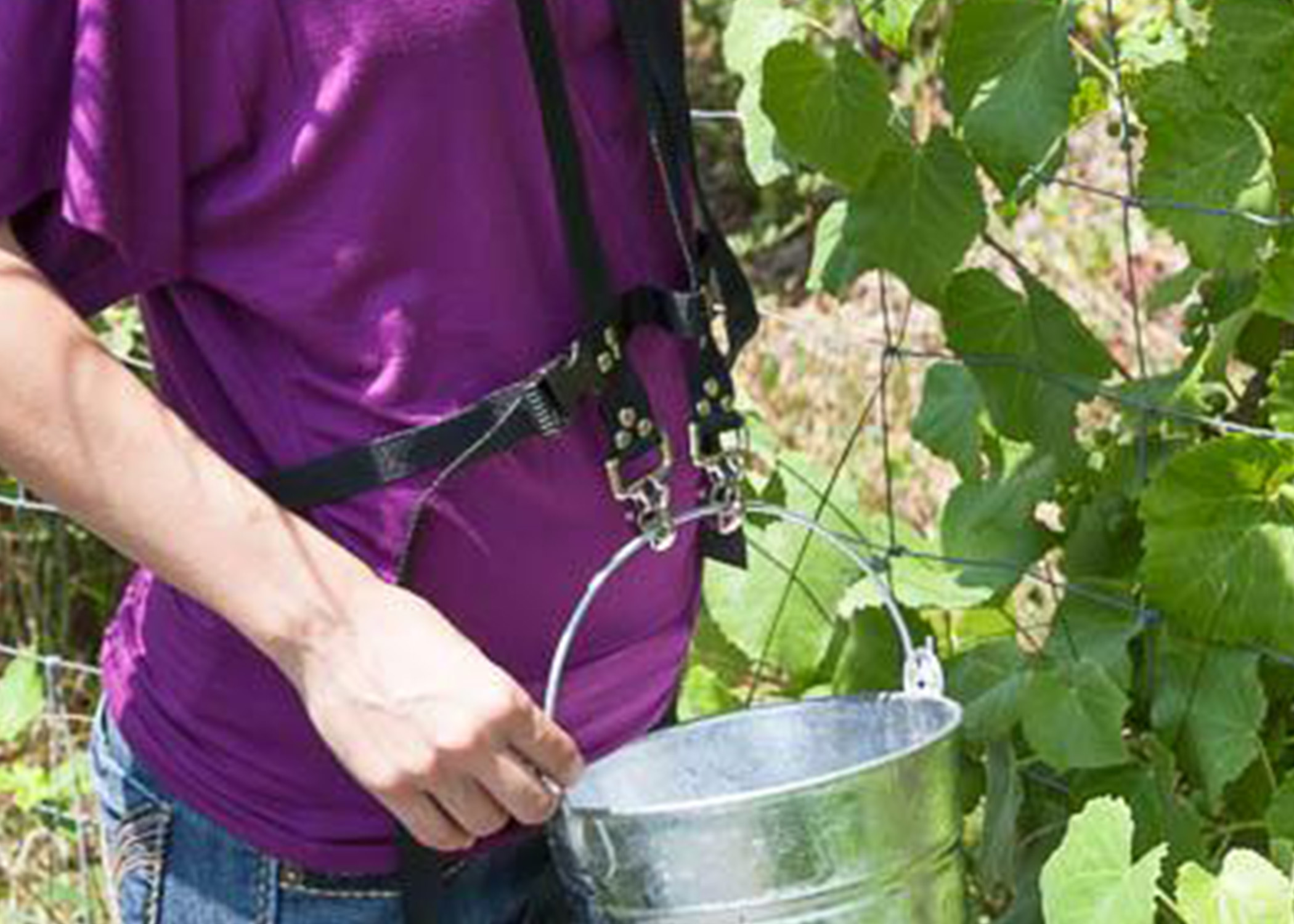 Zenport AG422, Harnais de seau pour baies, fruits et légumes