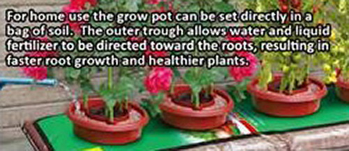 Grow Pot D-300 3 Pot Growing System, Repels Slugs and Snails