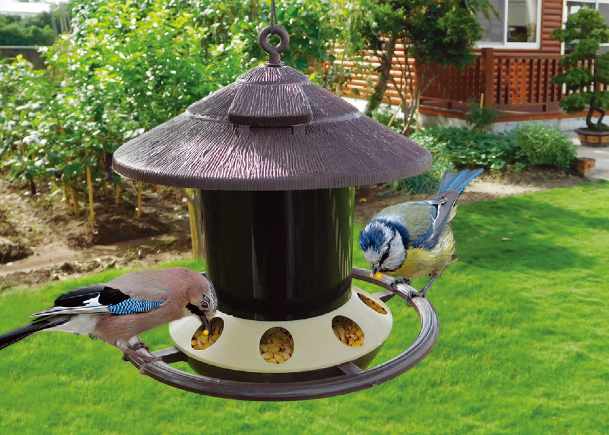 Zenport Bird Feeder D-450 1.23-lb Capacity