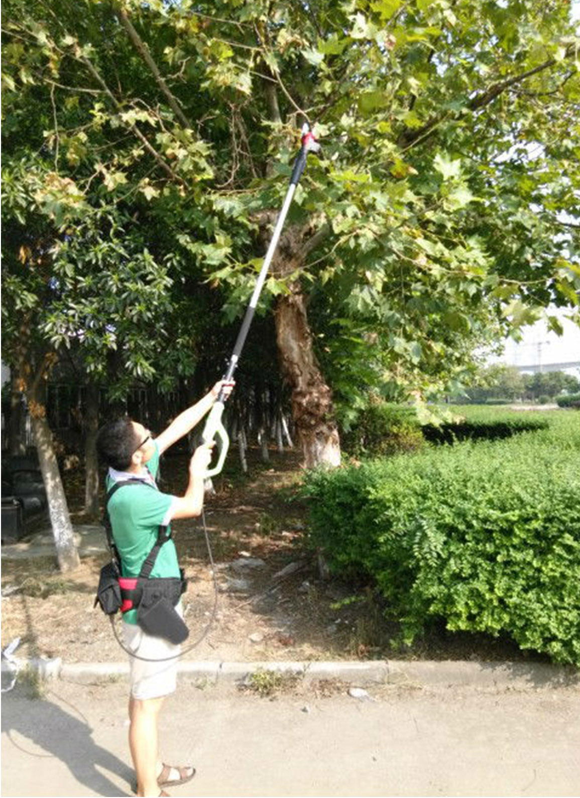 Zenport SCA Repair 1-Hour Service on Battery Powered Electric Shears