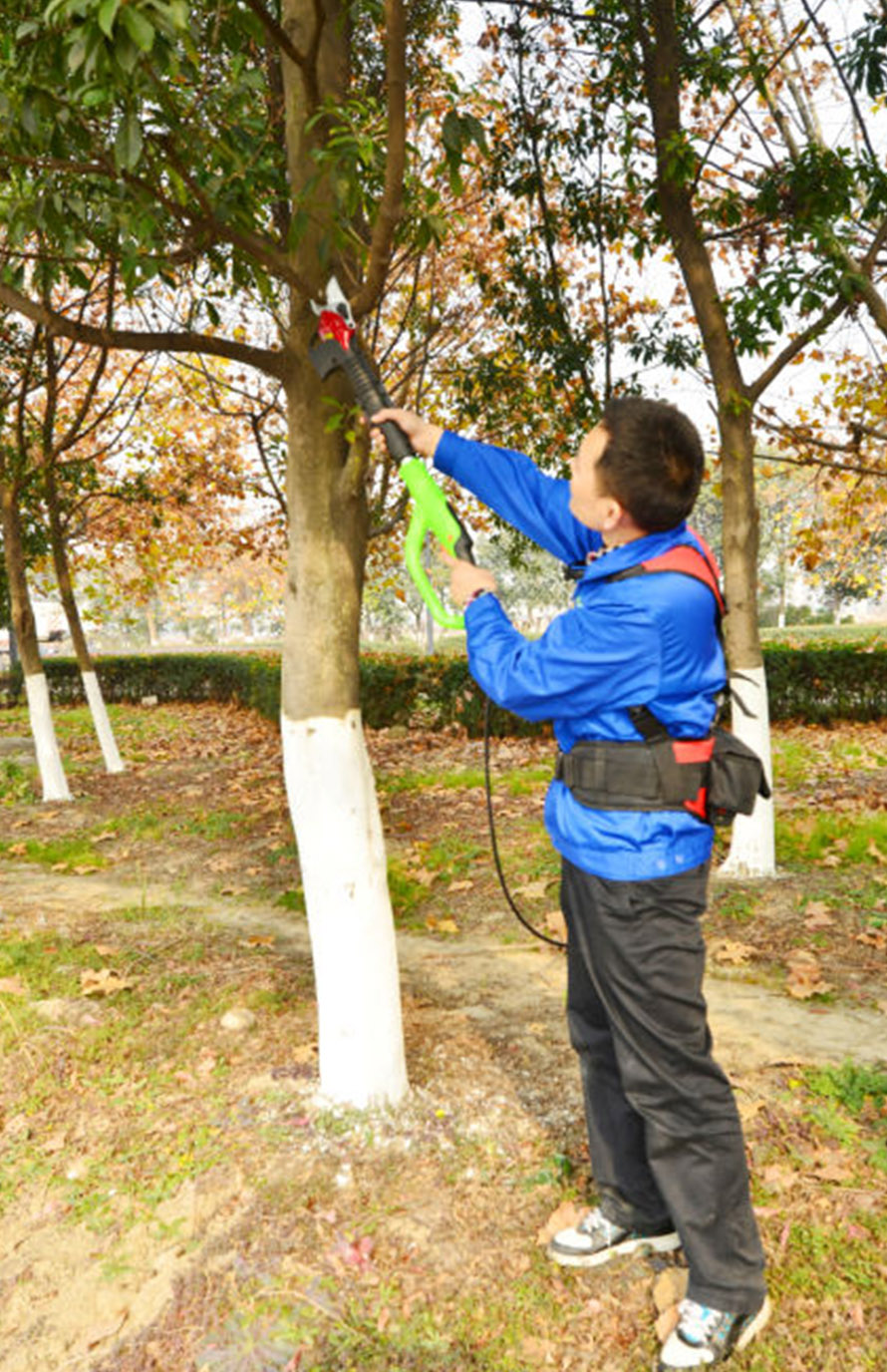 Zenport SCA Repair 1-Hour Service on Battery Powered Electric Shears