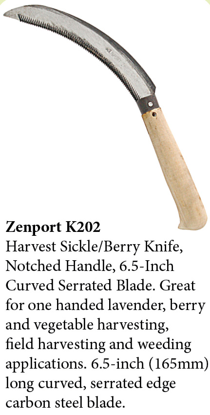 Zenport Sickle K202 Lavender Harvest Hoz/cuchillo de bayas, mango con muescas, hoja dentada curva de 6.5 pulgadas