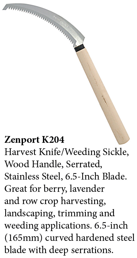 Zenport Sickle K204 Couteau de récolte/faucille de désherbage, manche en bois, dentelé, japonais, qualité A+, acier inoxydable,