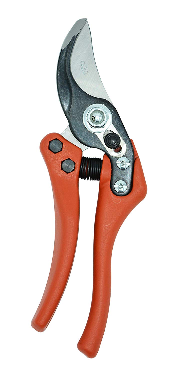 Zenport Pruner Q20 Euro-Pro Small P1-20, .75-Inch Cut, 8-Inch Long