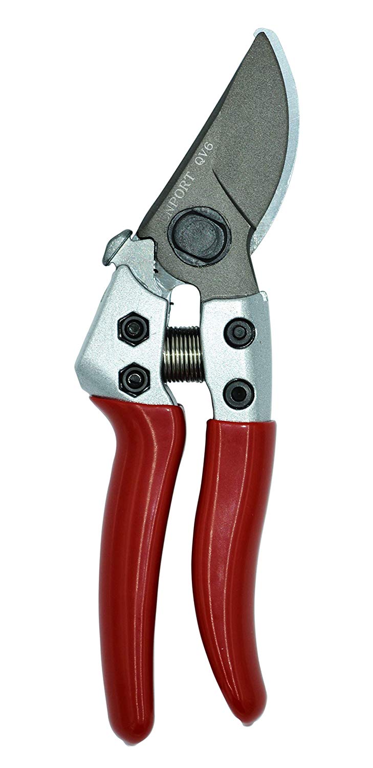 Zenport QV6 Pruner, Japanese Squeeze Open Pro, Chrome Plated Blade, Half-Inch Cut, 6-Inch Long - Click Image to Close