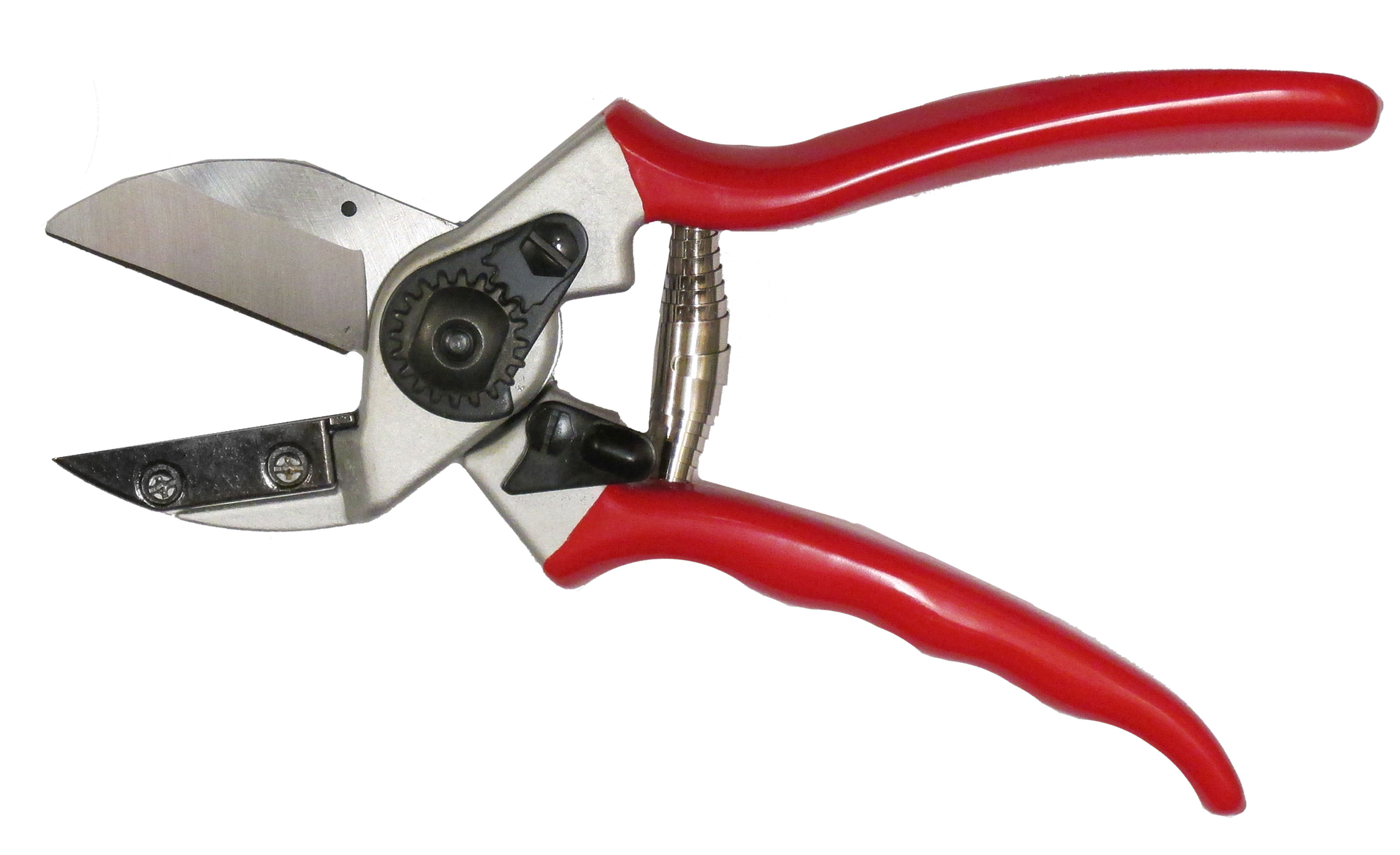 Zenport Pruner QZ431 Anvil Professional, 1-Inch Cut, 8.3-Inch Long