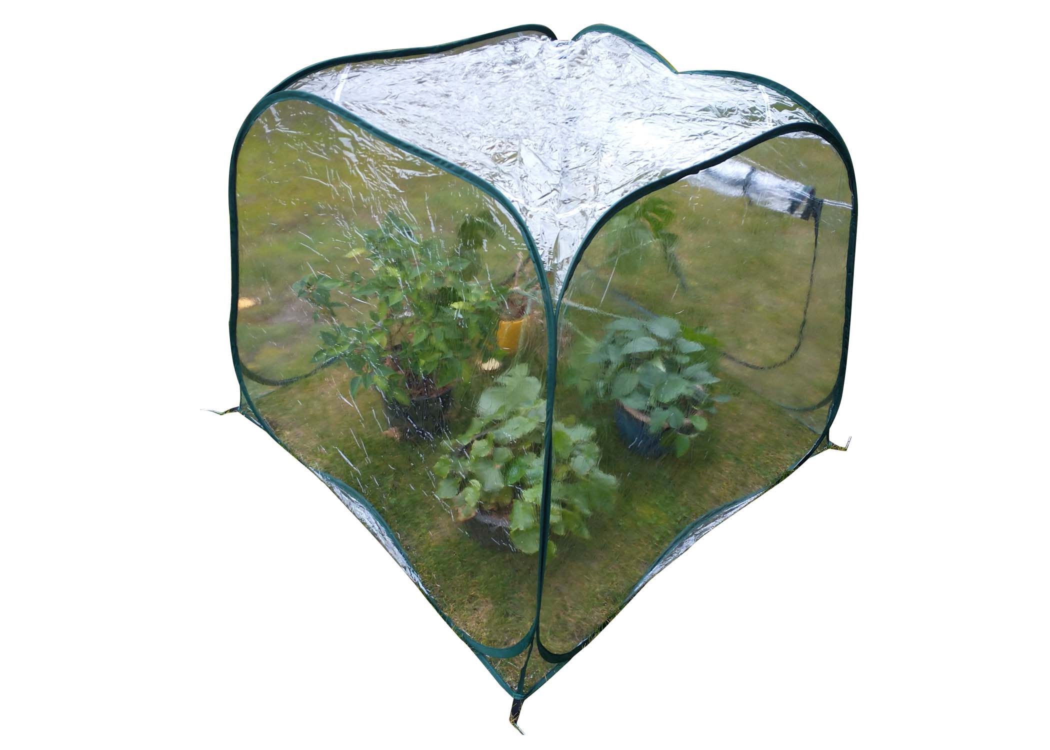 Zenport Pop-Up Greenhouse WS3241 4-Feet x 4-Feet x 38-Inch