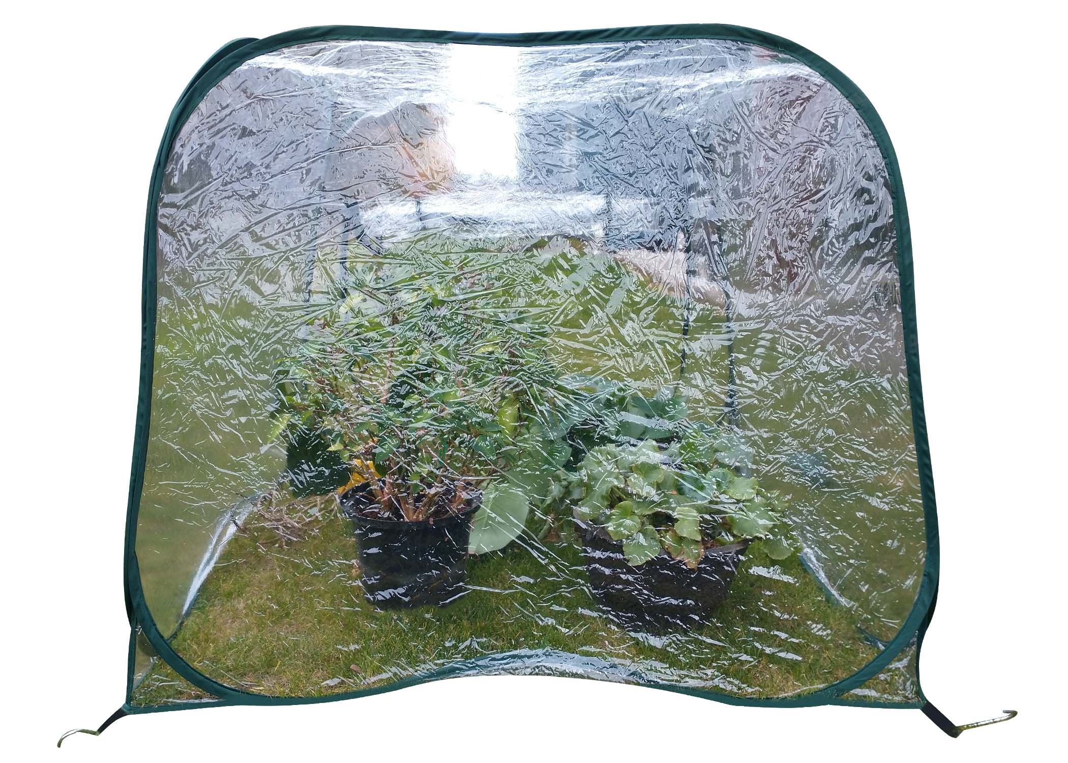 Zenport Pop-Up Greenhouse WS3241 47.3 x 47.3 x 39.4-inches - Click Image to Close