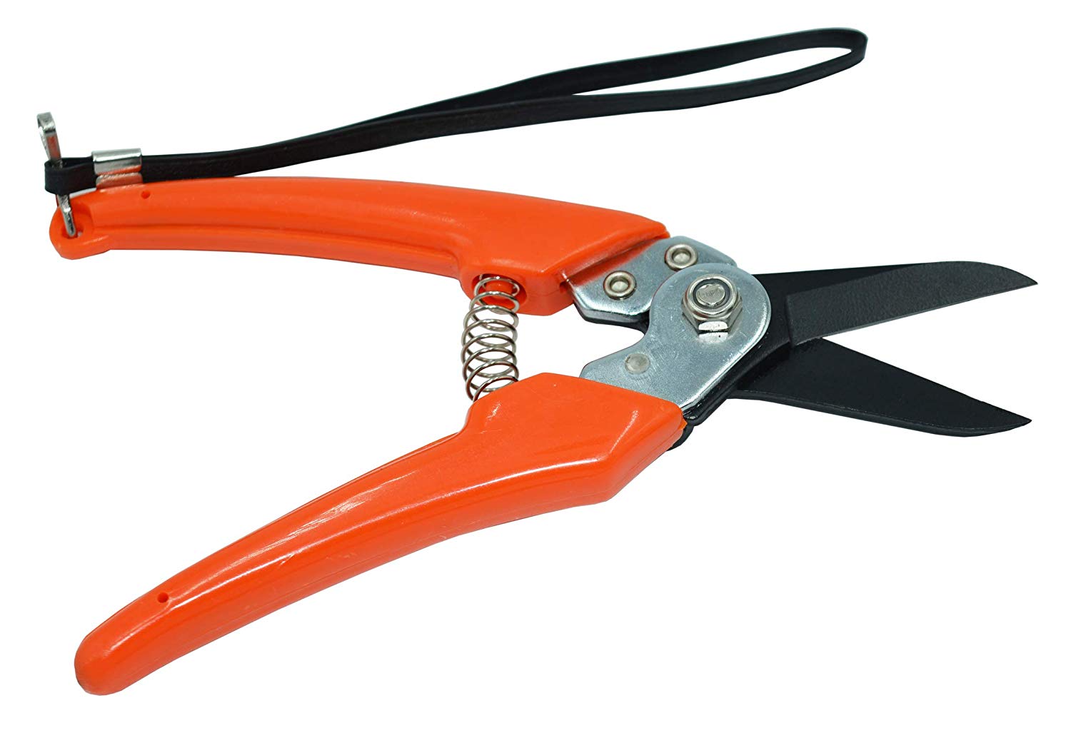 Zenport Pruner Z116 Hoof And Floral Trimming Shear, Teflon Coated, Twin-Blade, .8-Inch Cut, 8-Inch Long