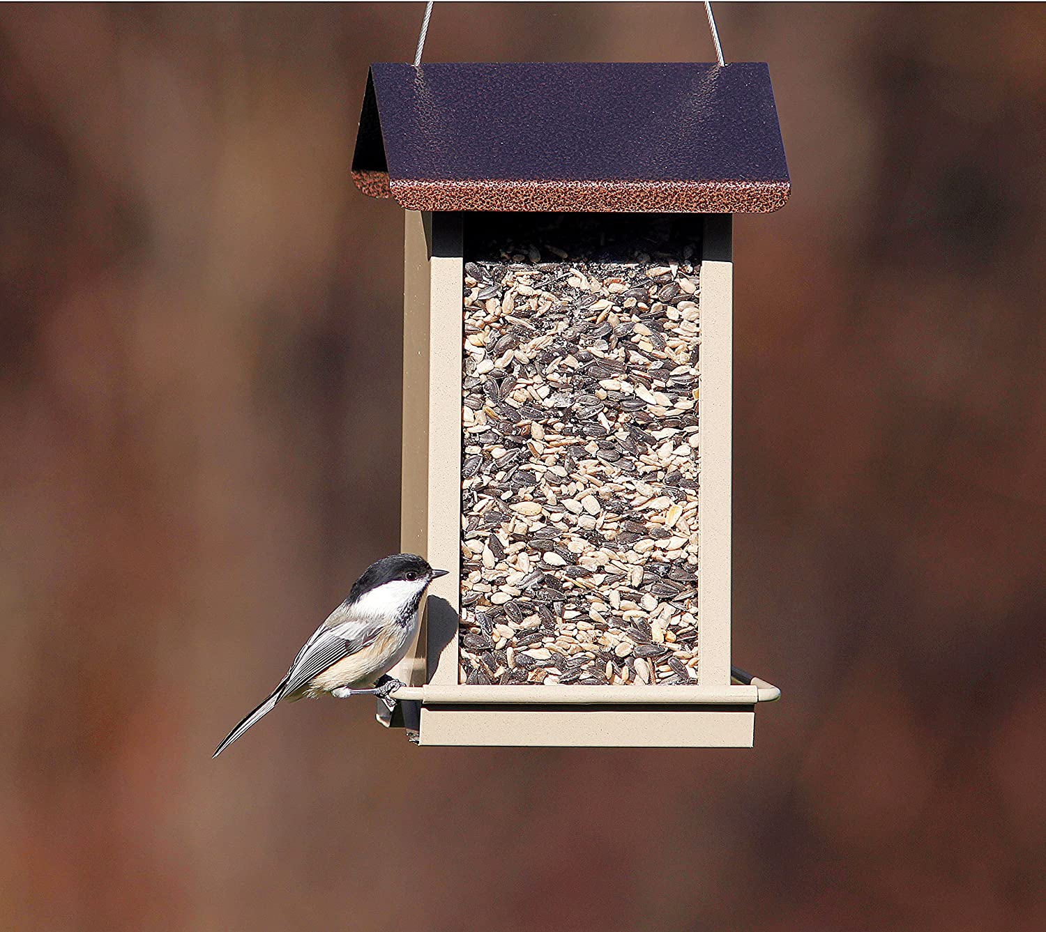 Zenport Bird Feeder Z38188 Small Hopper