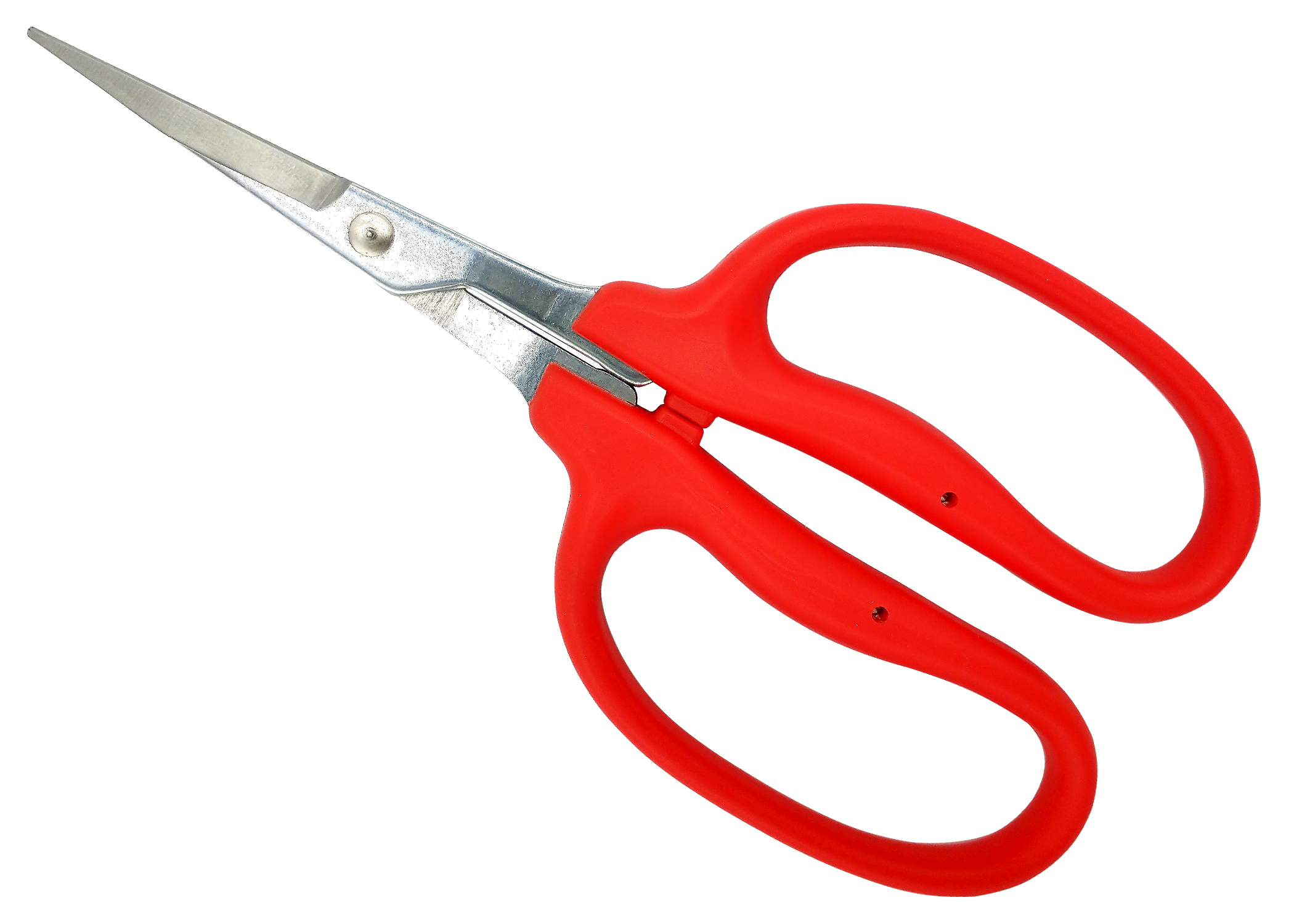 Zenport Scissors ZS422 Straight MasaMasa Trim Trimming Scissors, Stainless Steel, Orange Handle - Click Image to Close