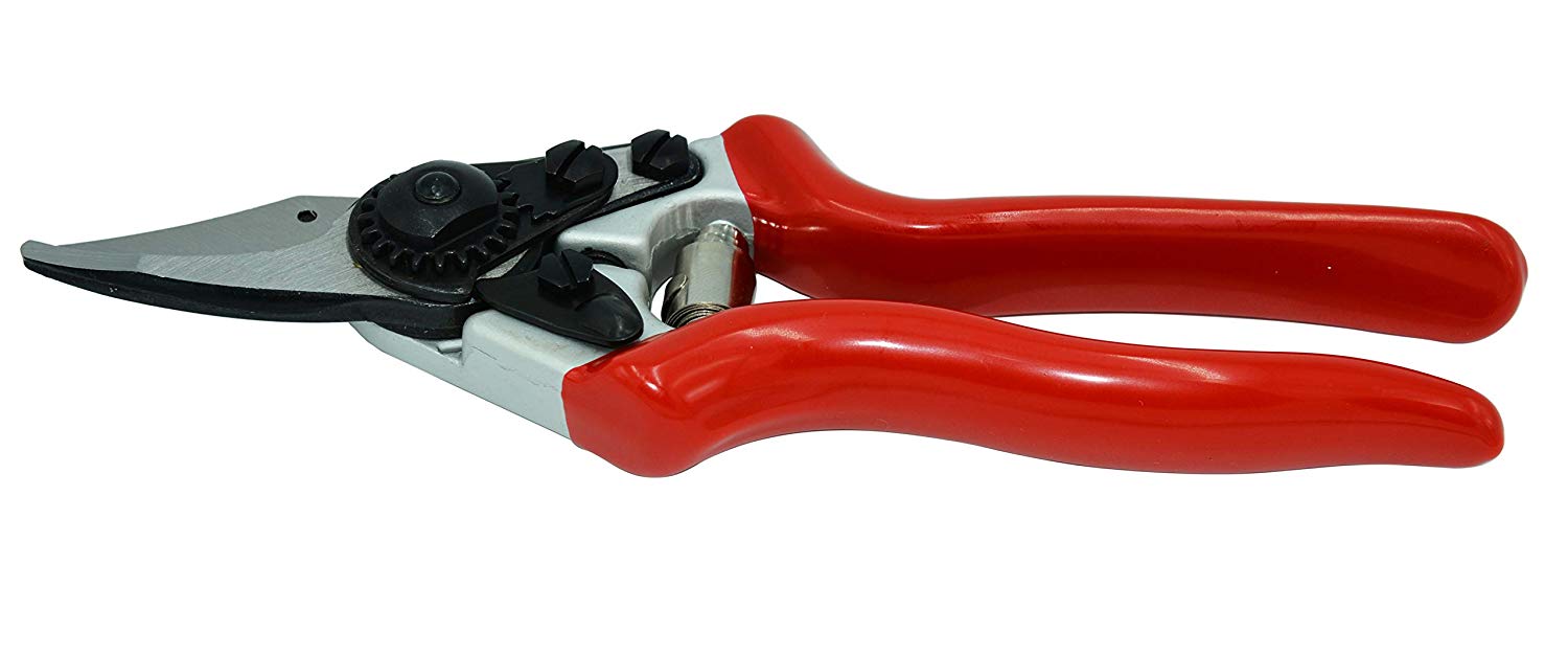 Zenport Pruner QZ406 Small Professional, .8-Inch Cut, 7.25-Inch Long