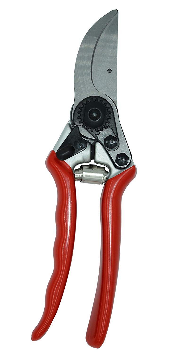 Zenport Pruner QZ411 Narrow Head Professional, 1-Inch Cut, 8.25-Inch Long